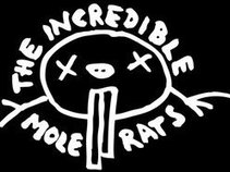 The Incredible Mole Rats