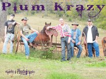 Plum Krazy Band