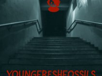Youngfreshfossils