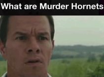 Murder Hornet Hard On