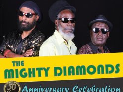 Image for The Mighty Diamonds