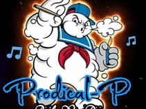 Prodical-P