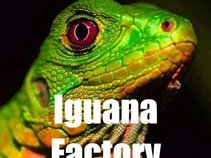 Iguana Factory