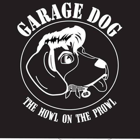 can my dog live in the garage