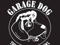 Garage Dog