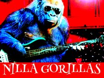 NILLA GORILLAS  -  Westbrook Productions, featuring: Jeffery Vincent-vox & Walt Dog-guitar