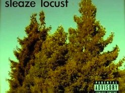 Image for Sleaze Locust
