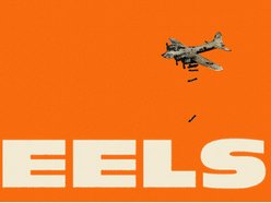 Image for EELS