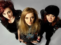 Image for The Amorettes