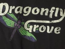 Dragonfly Grove