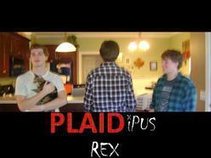 Plaidipus Rex