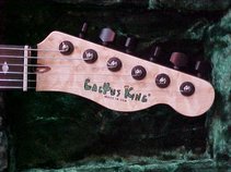 Cactus King Guitars & Repair