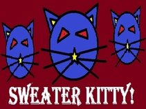 Sweater Kitty!