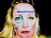 MELISSA & the meantoad