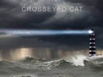 Crosseyed Cat