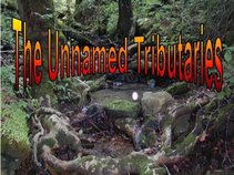 The Unnamed Tributaries