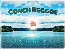 Conch Reggae