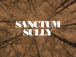Image for Sanctum Sully