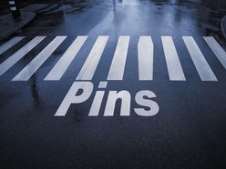 Image for PINS
