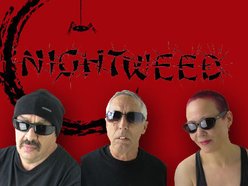 Image for Nightweed