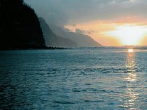 Salt Lake Fijian
