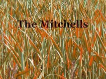 The Wiener Mitchells