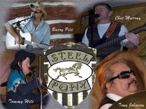 Steel Pony Band