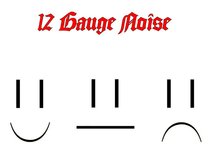 12 Gauge Noise