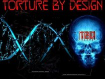 TORTURE BY DESIGN