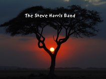 The Steve Harris Band