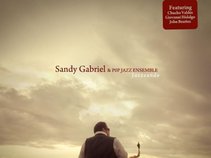 Sandy Gabriel