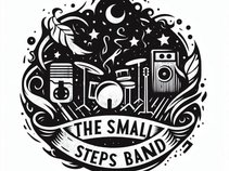 The Small Steps Band
