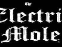 The Electric Mole