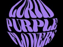 Lurid Purple Flowers