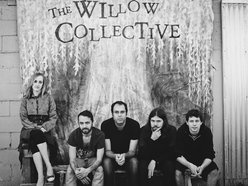 Image for The Willow Collective