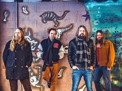 Image for The Steepwater Band