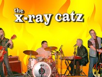 X Ray Catz