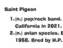 Saint Pigeon