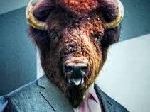 Bitter Buffalo