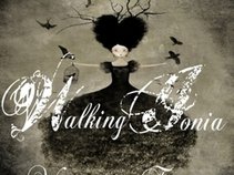 Walking Ionia