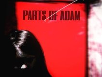 Parts of Adam
