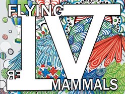Image for Flying Mammals