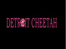 DETROIT CHEETAH