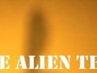 Single Alien Theory