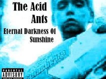 The Acid Ants