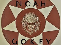 Noah Gokey