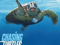 Chasing Turtles