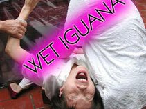Wet Iguana