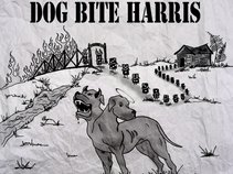 Dog Bite Harris