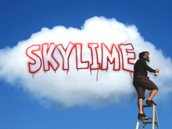 Image for Skylime